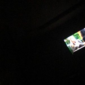 Meet your Posher, Dwayne